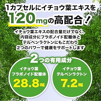 約12ヶ月分 イチョウ葉エキス サプリメント シードコムス イチョウ葉エキス – シードコムス本店